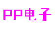 上海市PP电子软件开发有限公司